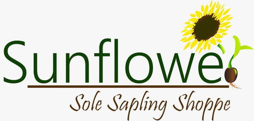 Sunflower Sole Sapling Shoppe