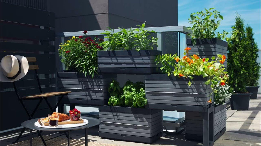 The Ultimate Guide to Modular Gardens: Transforming Spaces, One Module at a Time