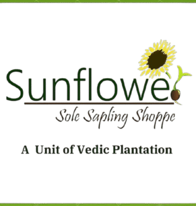 cropped-Sunflower-Logo.png